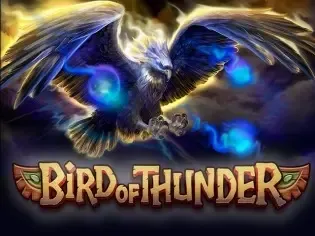 Bird of Thunder screenshot