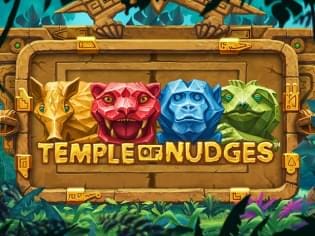 Temple of Nudges screenshot