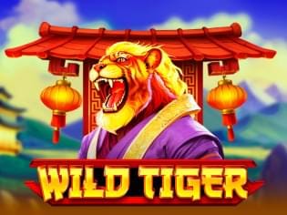 Wild Tiger screenshot